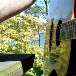 Reptile-Dysfunction-Songwriting-Lake-Wynonah-Schuylkill-County (6)