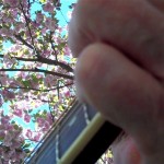 Sapflows-Songwriting-Everhart-Park-West-Chester (6)